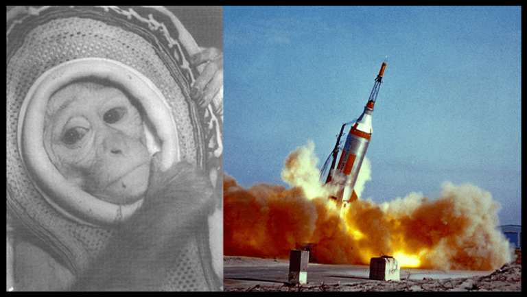 جانب من التجهيز لأول رحلة فضائية ناجحة للقرود قبل 65 عاما