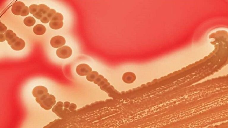 يابانيون يتجولون في أحد الشوارع