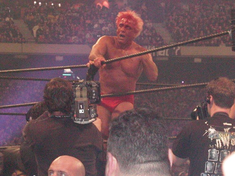 ريك فلير بروك ليسنر - مصارعة