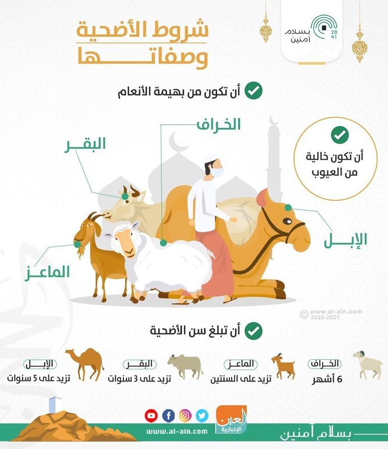 كل ما يخص شروط الأضحية كل ما يخص شروط الأضحية وذبحها وتقسيمها