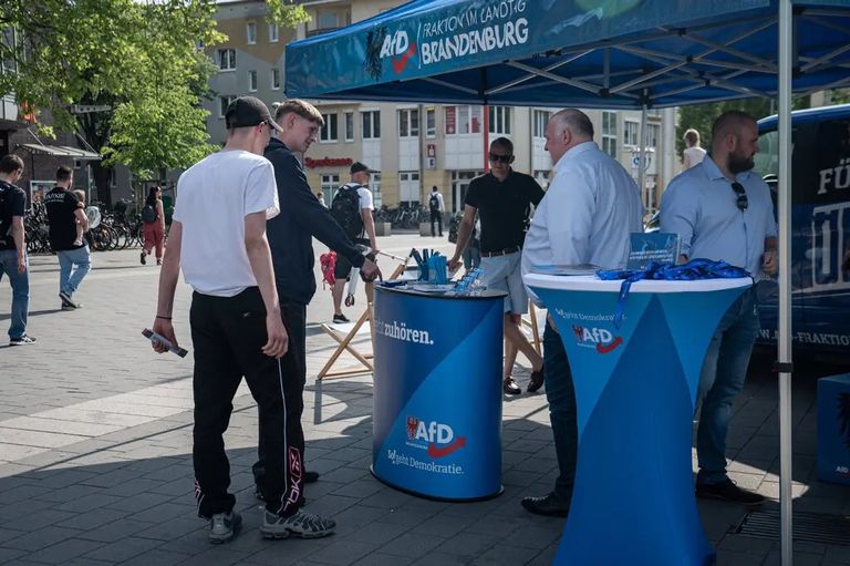 زعيمة حزب البديل من أجل ألمانيا، أليس فايدل، خلال مؤتمر انتخابي