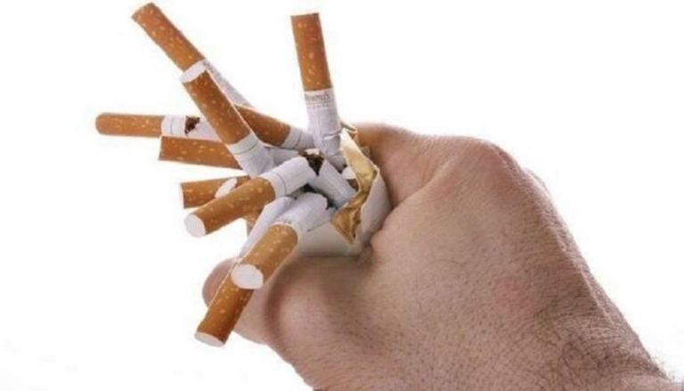 يؤدي التدخين إلى أضرار في جميع أعضاء الجسم