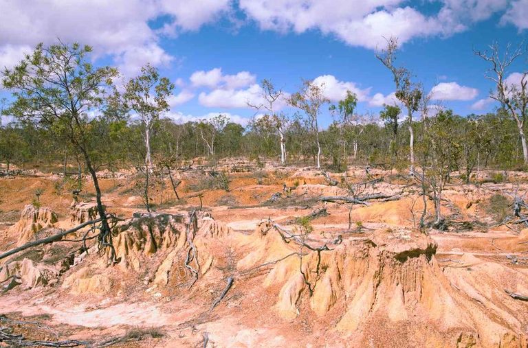 أرض زراعية تعاني من التصحر