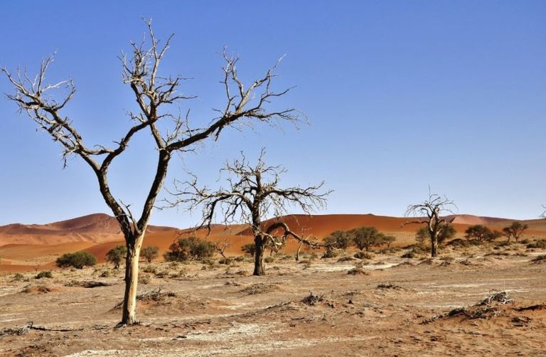 أرض زراعية تعاني من التصحر