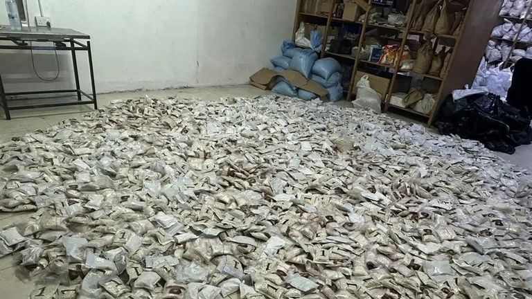 جانب من المضبوطات