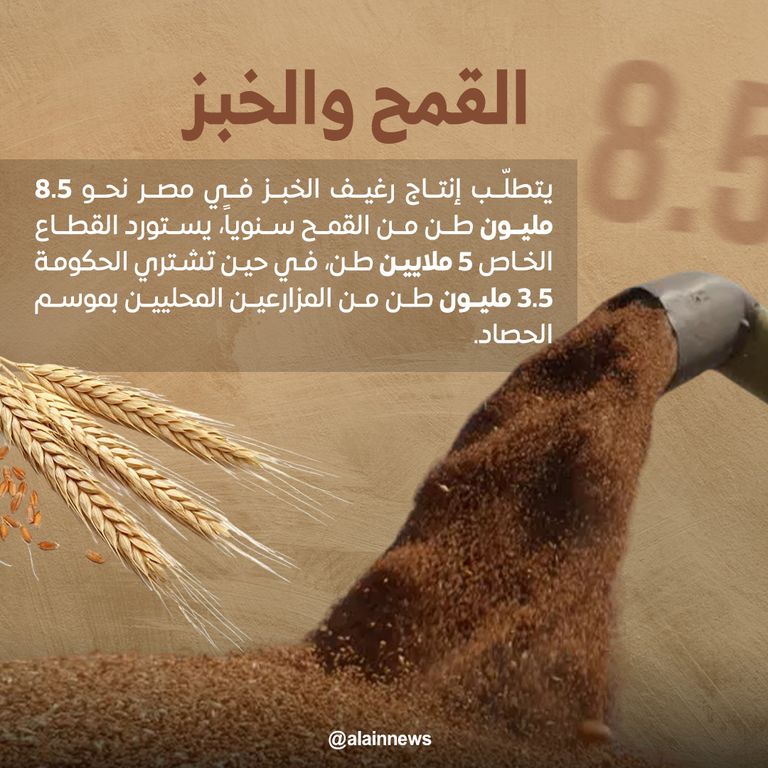 خبز مصري - أرشيفية