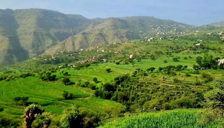 المدرجات الزراعية في اليمن