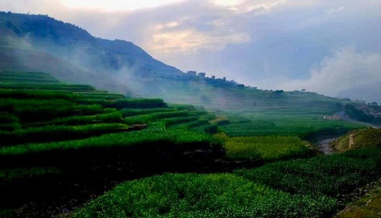 المدرجات الزراعية في اليمن