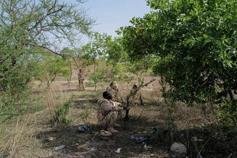 قوات أمريكية في غرب أفريقيا - أرشيفية