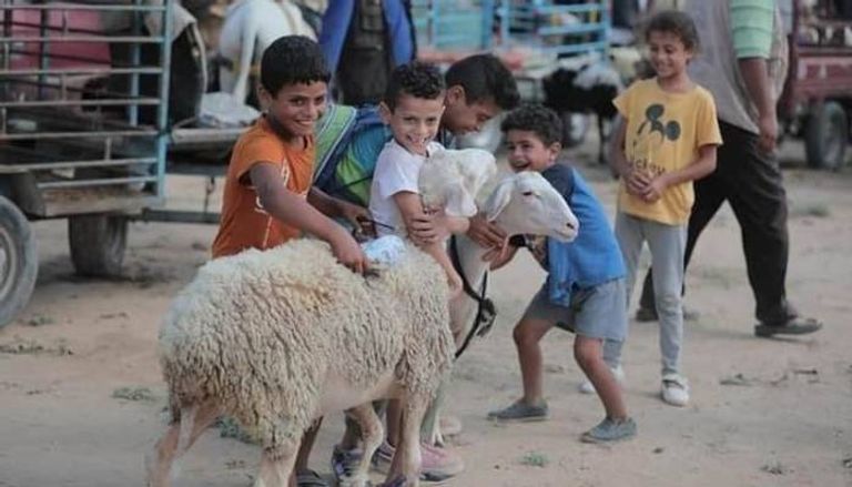 تعلق الأطفال بالأضحية شرح الأضحية للأطفال