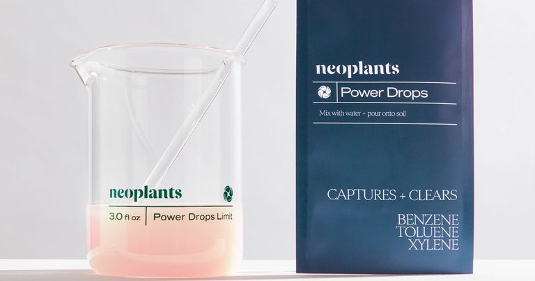 نبتة «نيو بي إكس»