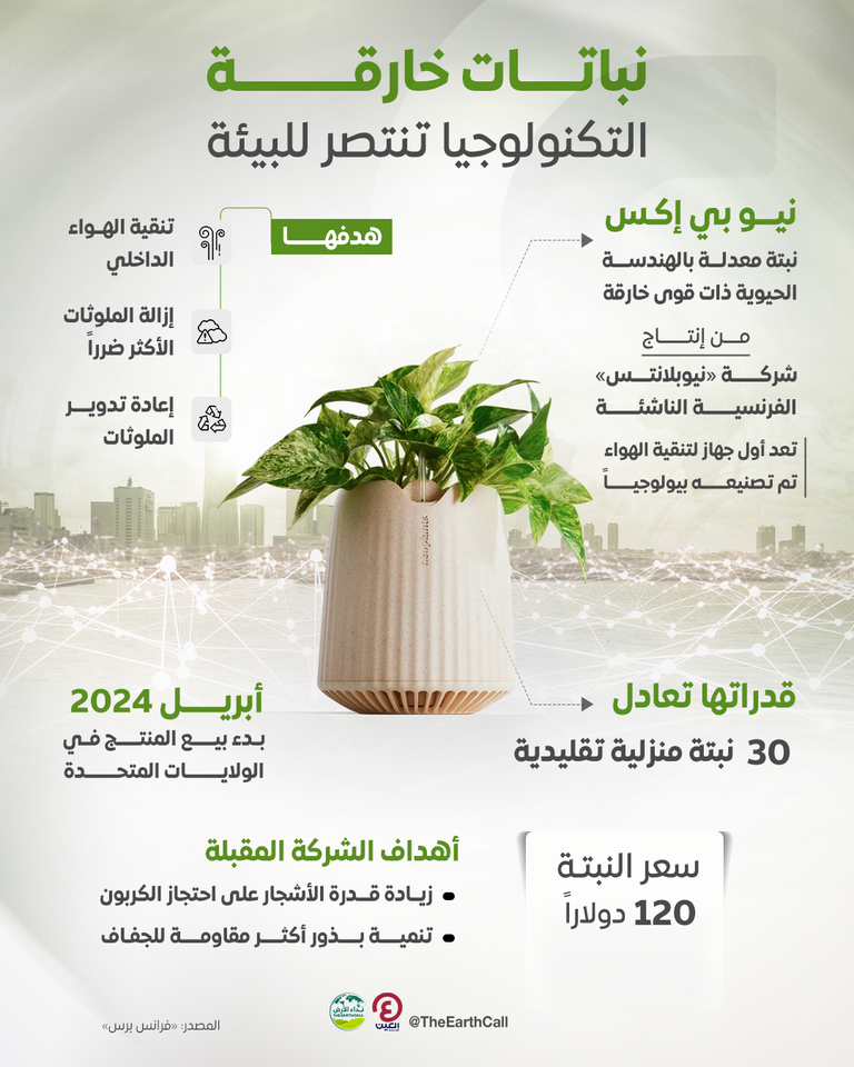 نبتة «نيو بي إكس»