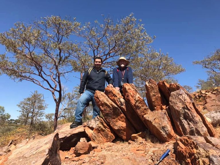 العالم المصري الدكتور حامد جمال الدين