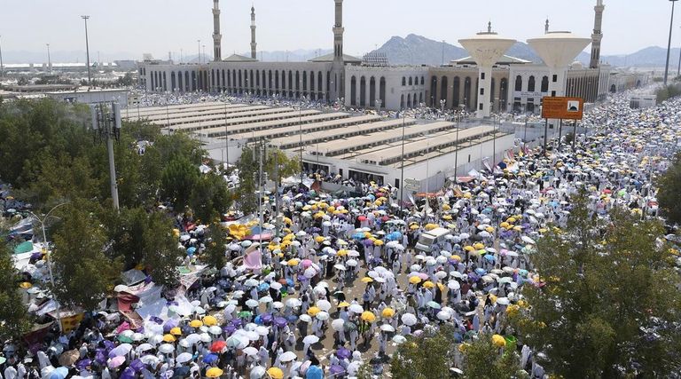 الأشجار تكسو مشعر عرفات