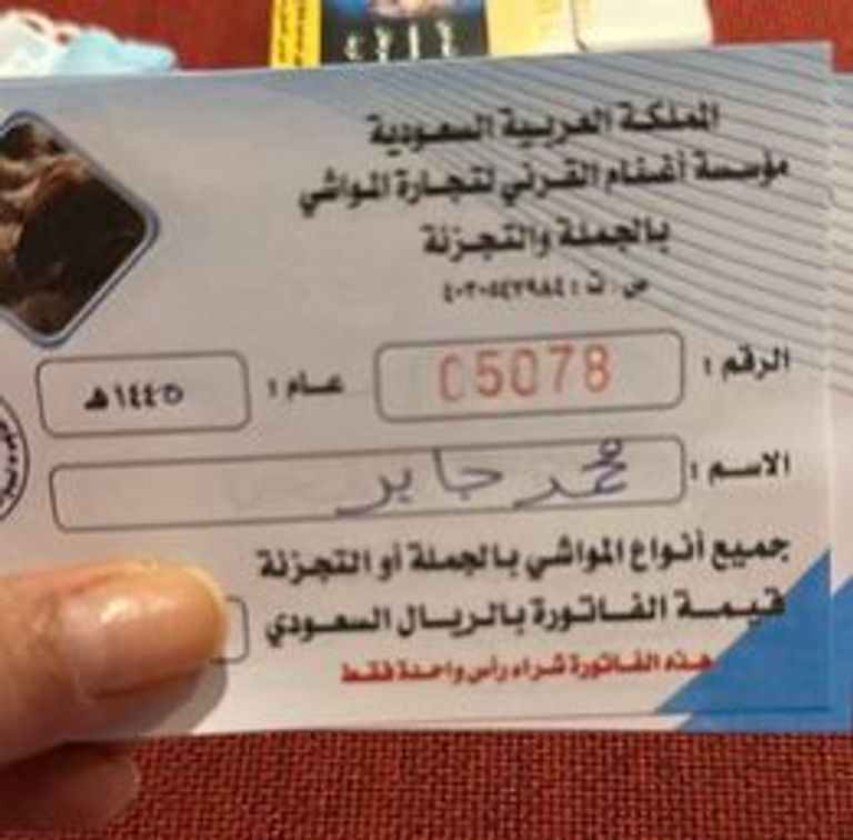 الفنانة منة شلبي - أرشيفية