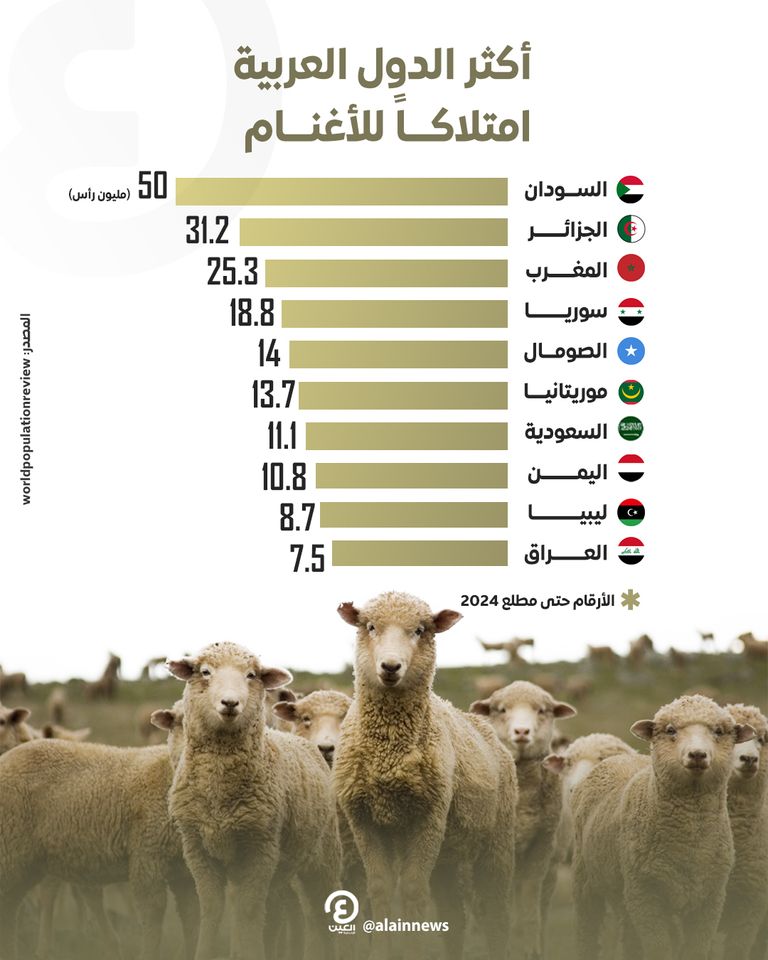 أكثر الدول العربية امتلاكاً للأغنام