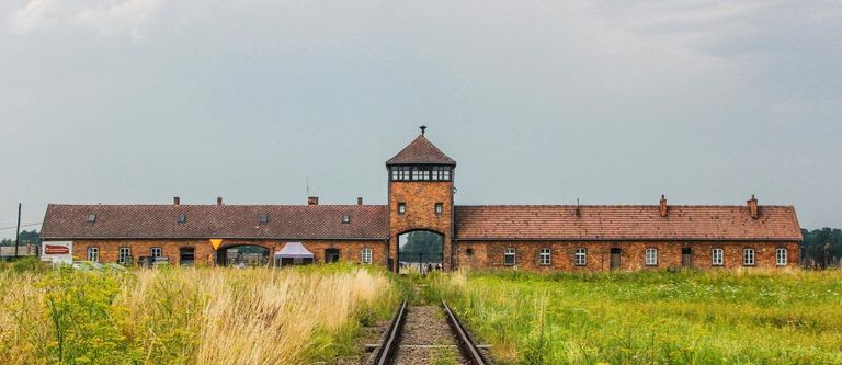 قيادات من الجيش النازي «أرشيفية»