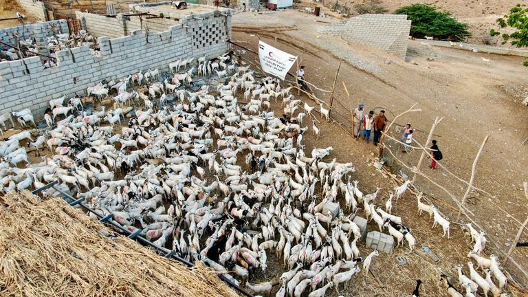 الإمارات تشارك اليمنيين بهجة العيد