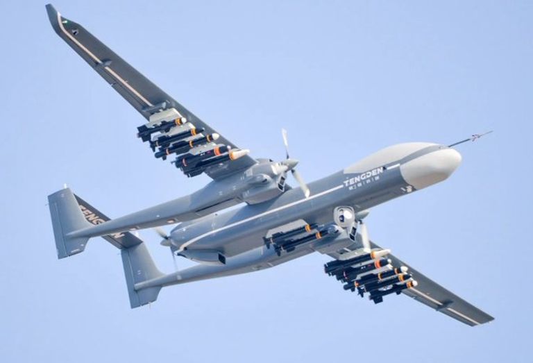 العقرب ذو الذيل المزدوج الصينية