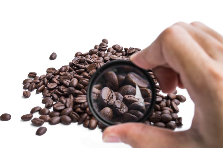 دراسة ربطت بين استهلاك القهوة وعوامل وراثية