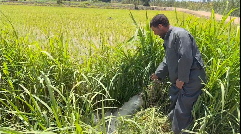 صورة لـ«أحمد عبد الخالق» أثناء ضخ المياه، تصوير: آلاء عمارة. صورة جانبية لمحطة الطاقة الشمسية، تصوير: آلاء عمارة.