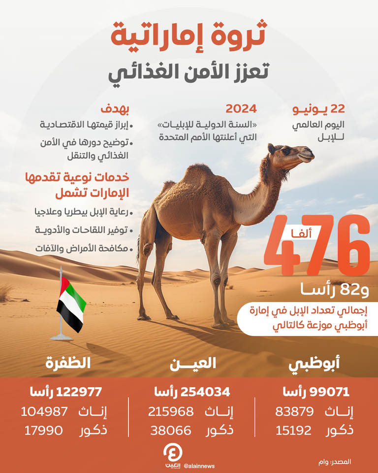 الإبل تمثل ثروة حيوانية عظيمة بالإمارات