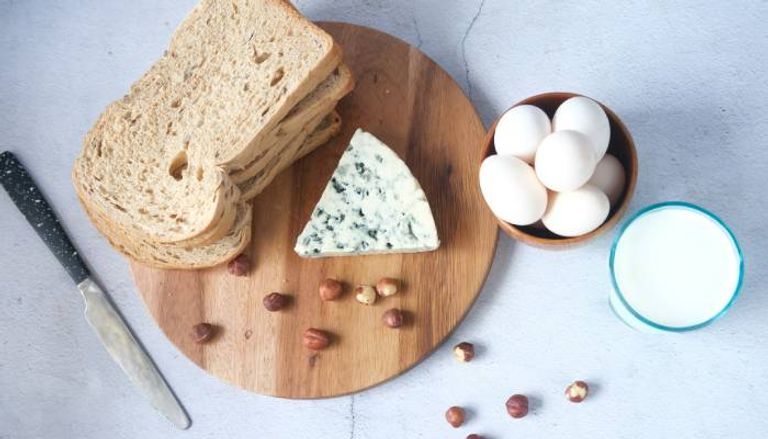 منتجات الألبان بديل البروتين