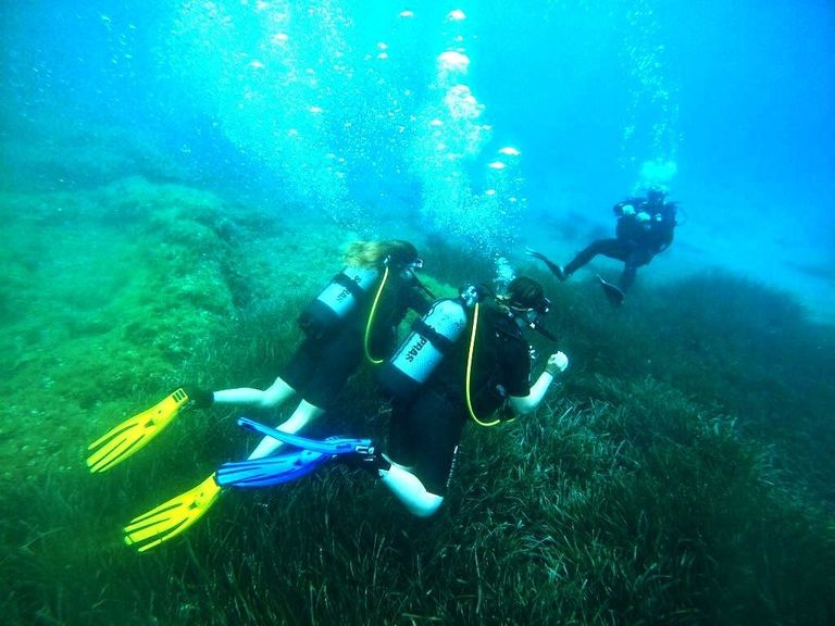 لوسينج كرواتيا أحد أفضل مواقع الغوص في أوروبا لفصل الصيف