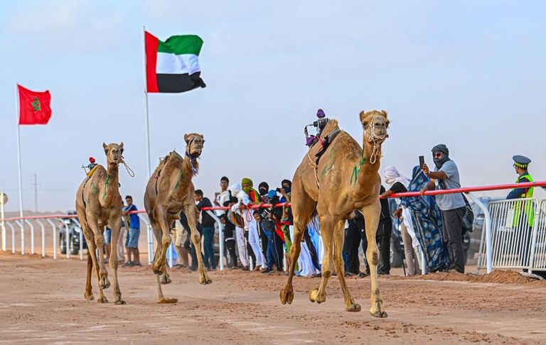 علم دولة الإمارات في «طانطان»