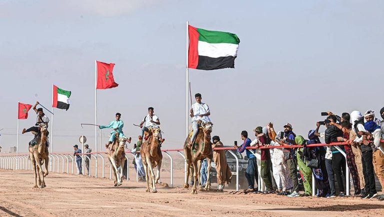 علم دولة الإمارات في «طانطان»
