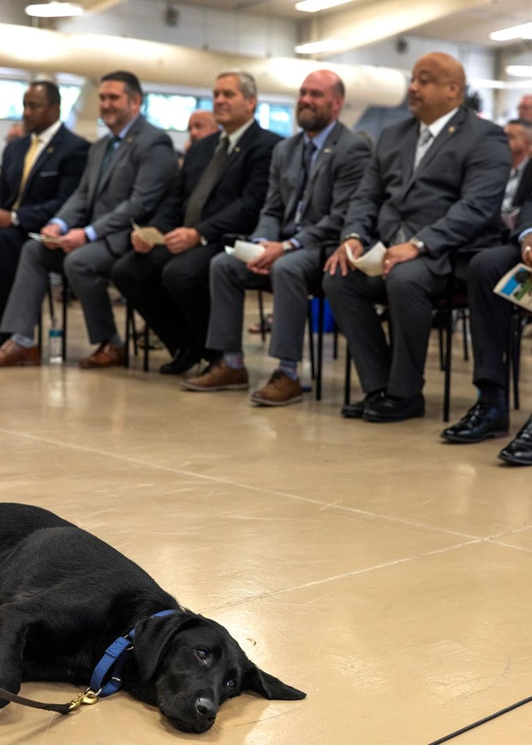 جانب من حفل تخرج الكلاب البوليسية بالولايات المتحدة