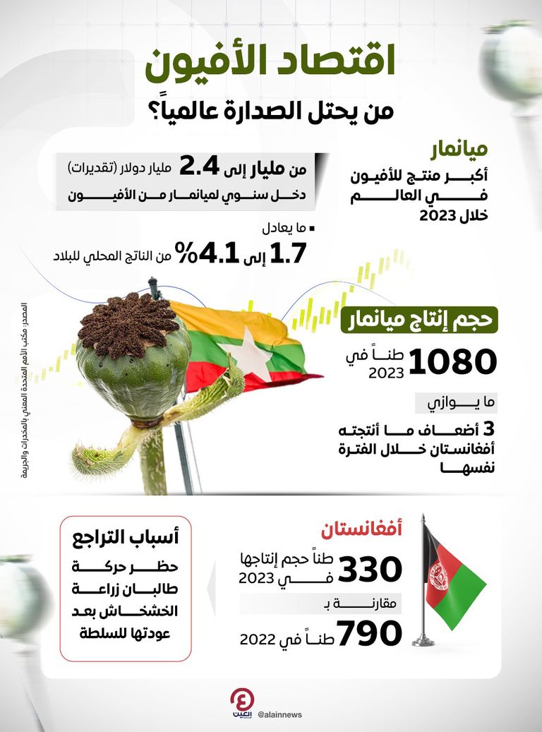 انهيار اقتصاد الأفيون في أفغانستان..دولة جديدة تحتل الصدارة عالميًا ازدهار إنتاج الأفيون في ميانمار