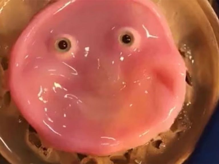 الإنجاز يمثل ثورة تكنولوجية