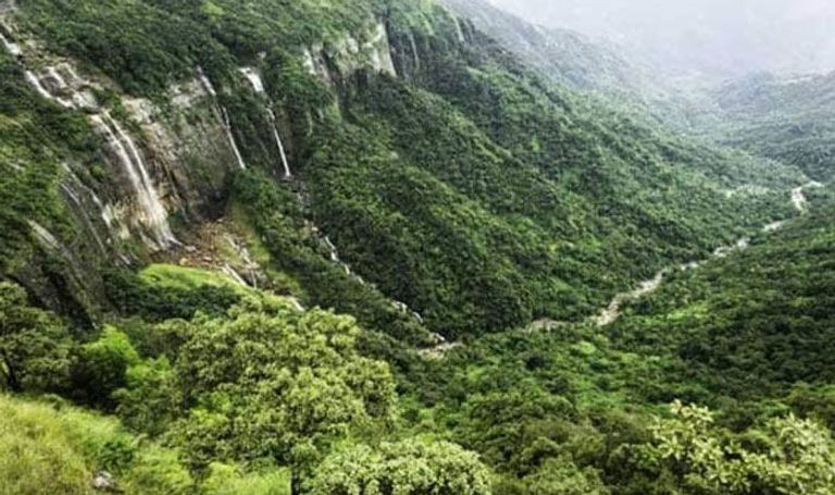 غابات الولايات المتحدة