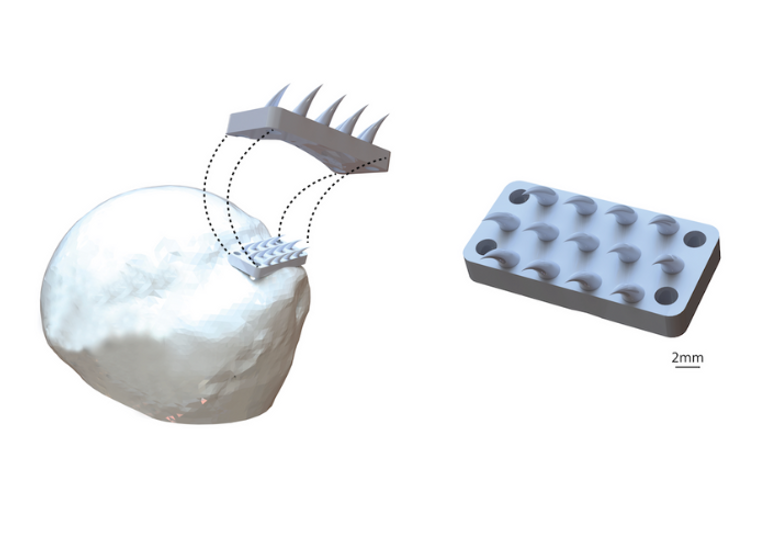 الجهاز الجديد مستوحى من أسنان الثعبان