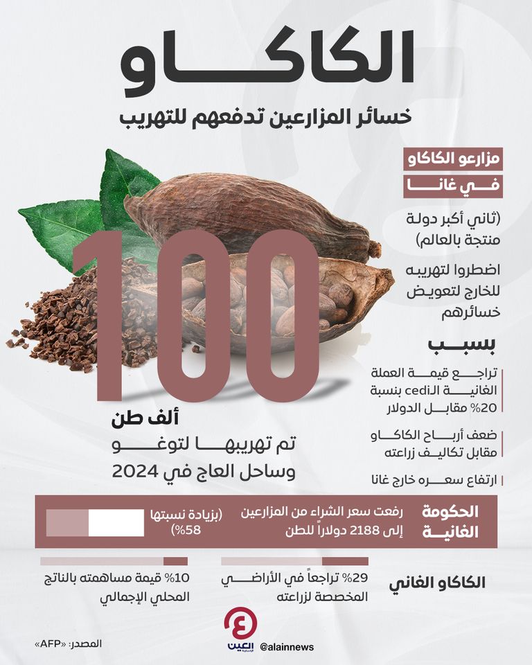 الكاكاو الخام