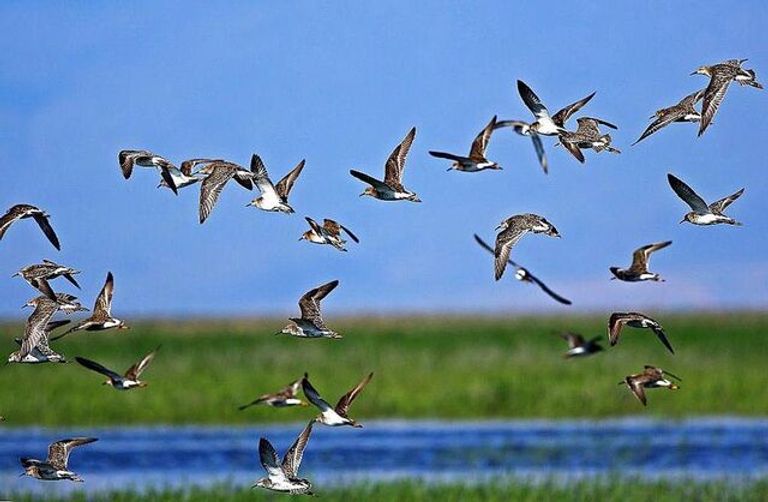 من داخل منطقة 