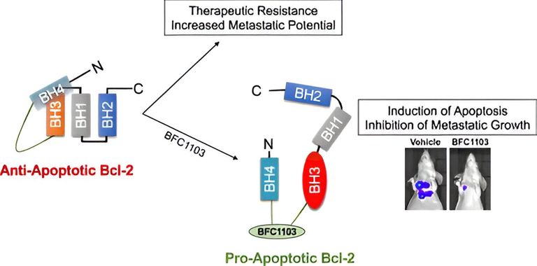 رسم تخطيطي يوضح الإنجاز الذي حققته الدراسة الجديدة الباحثان الرئيسيان بالدراسة