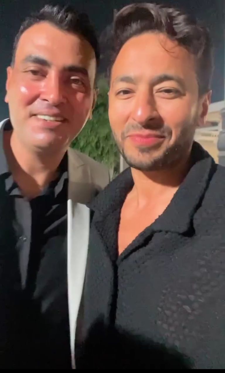 الفنان حمادة هلال