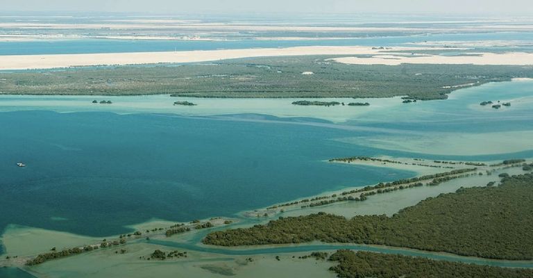 إنجاز إماراتي جديد على مؤشر الأداء البيئي