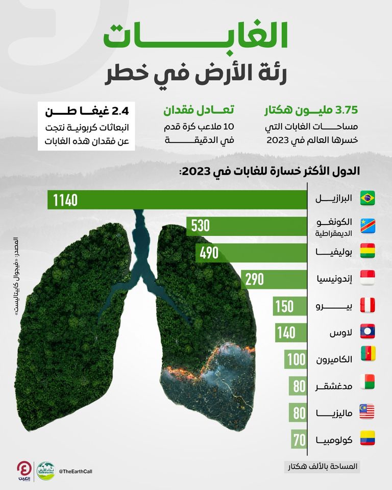 تجريف الغابات