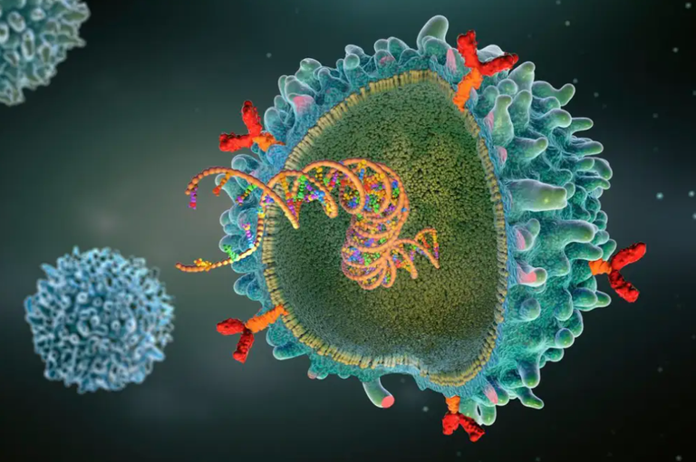 الفتاة "يوريسا"مع الفريق الطبي المعالج بمستشفى جامعة إرلنغن