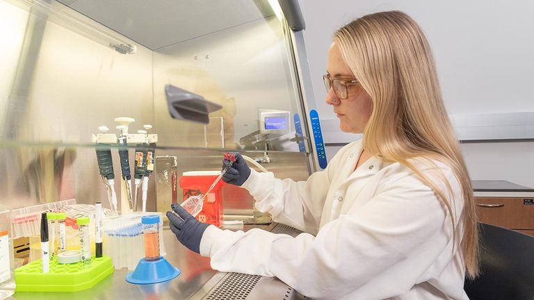 باحثة مشارك الدراسة تقوم بتجهيز الخلايا المعملية لإجراء الاختبارات جهاز (ليد) المصغر القابل للزرع يحارب السرطان بالضوء