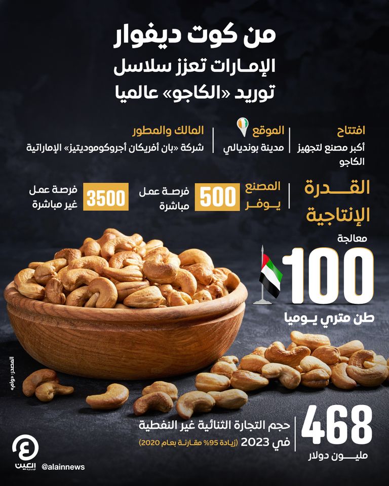 الإمارات تعزز سلاسل توريد «الكاجو» عالمياً