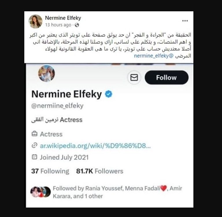 الفنانة المصرية نرمين الفقي