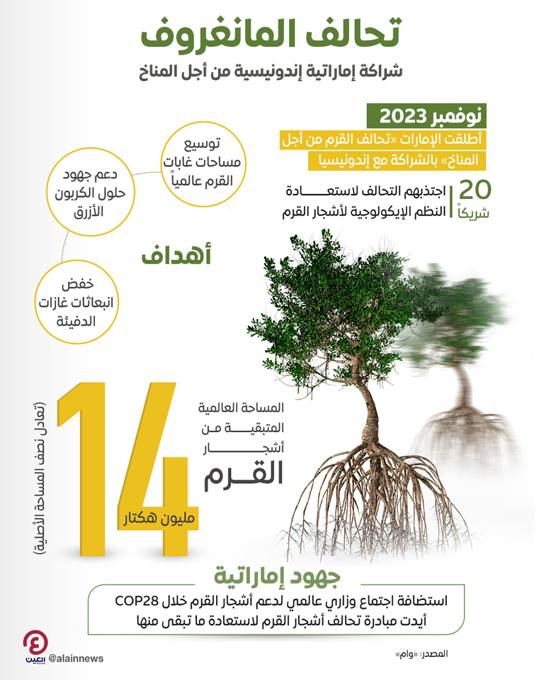 المانغروف.. شراكة إماراتية إندونيسية من أجل المناخ