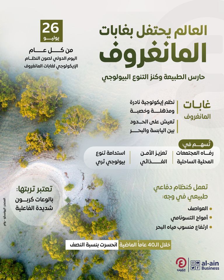 المانغروف.. شراكة إماراتية إندونيسية من أجل المناخ