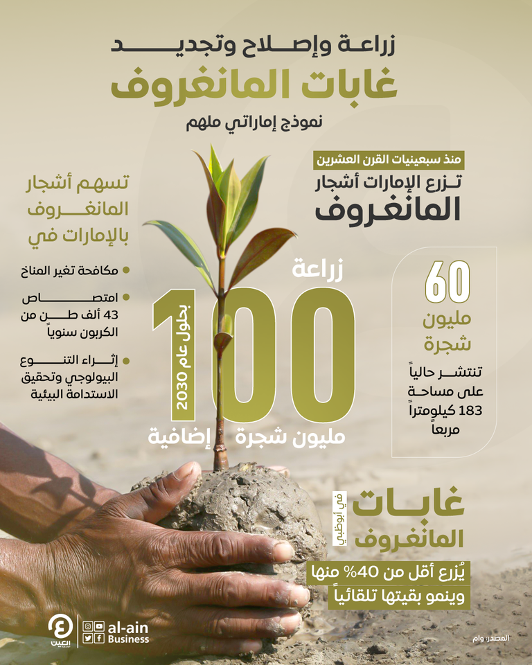 المانغروف.. شراكة إماراتية إندونيسية من أجل المناخ