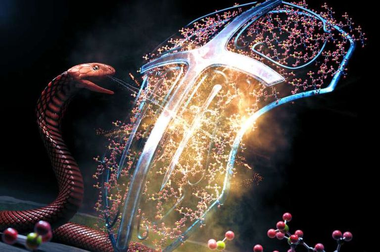 اكتشاف ترياق واعد ضد لدغة الكوبرا