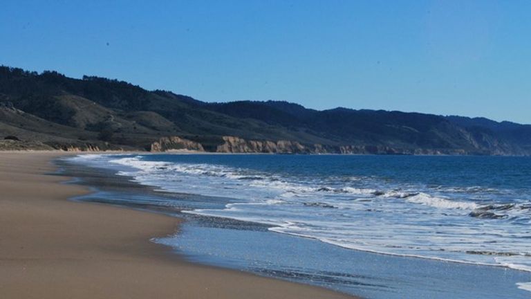 شاطئ بوينت رييس الوطني أحد أفضل أماكن السياحة في كاليفورنيا